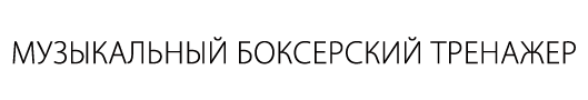 Музыкальный боксерский тренажер